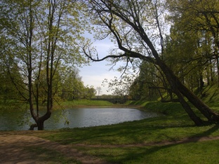 Парки