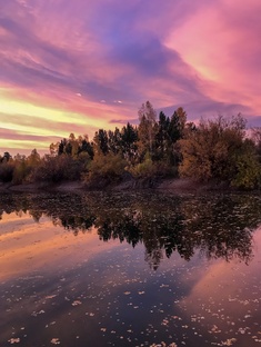 Красота природы