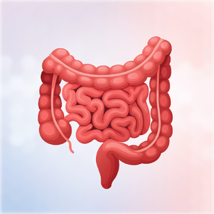 Кишечник
