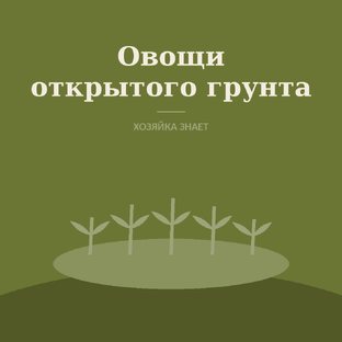 Овощи открытого грунта