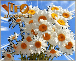 Доброе утро