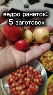 Заготовки из своего урожая