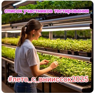 тестирование от @ВНИИССОК 