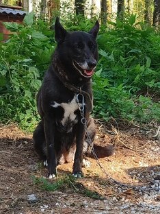 Матильда  из Калино и её дети