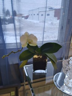 Обо всём и не о чём 