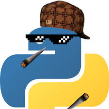 Python                  