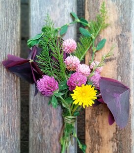 Оглавления