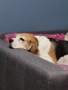 Лайфхаки, маленькие хитрости