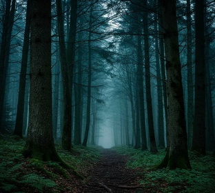 Жуткие и мистические 