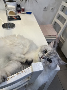 Мой любимчик ❤️