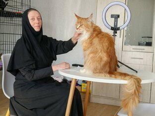 Счастливые истории