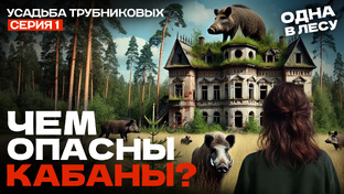 Усадьба Трубниковых