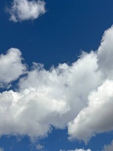 Статьи о современном искусстве