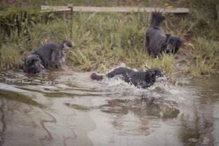 Полезности и Отчетность