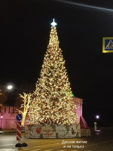 Блюда для Новогоднего меню