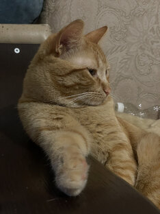 О личном публично