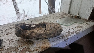 Интересные находки 2024года.