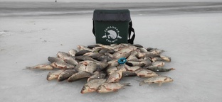 Зимняя Рыбалка