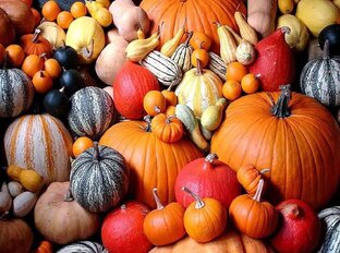 Тыквенное настроение 🎃