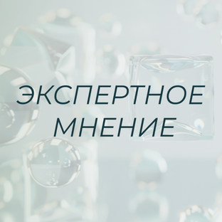 Экспертное мнение 