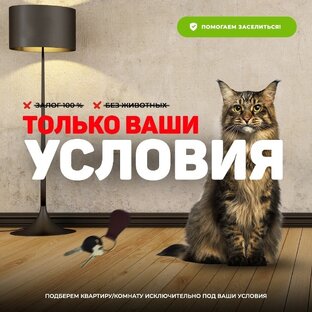 Брендированные Stories