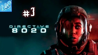Directive 8020