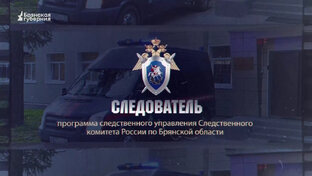 СЛЕДОВАТЕЛЬ