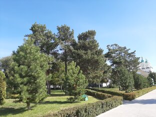 Путешествия