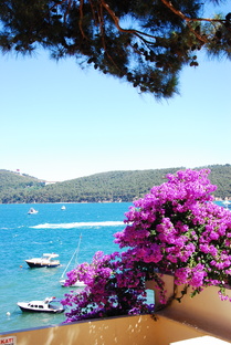 События в Турции 