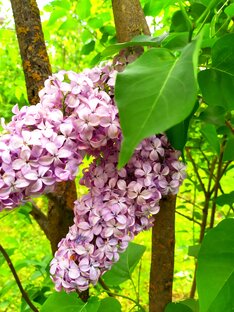 Впечатления от увиденного и услышанного. 