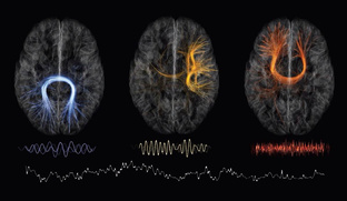 Электрическое тело