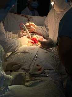 Медицинские факты