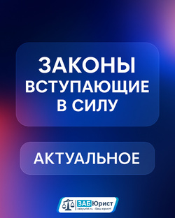 Инфографика 📝