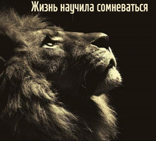Статьи и посты