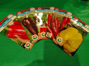 Сибирский Сад"  тестирование 2026 