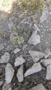 Путешествие