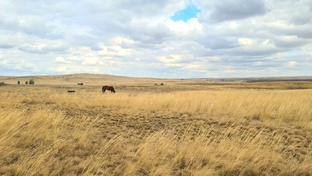 Оренбуржье