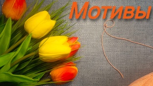 Мотивы