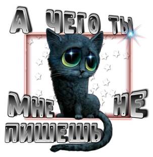 Истории из жизни