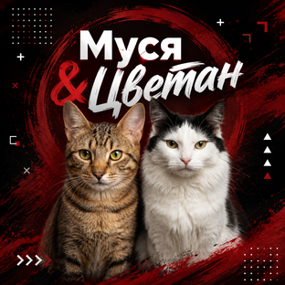 МУСЯ & ЦВЕТАН