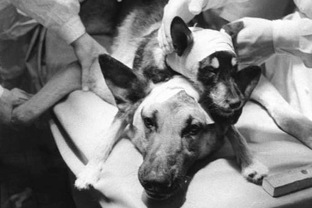 Эксперименты в СССР