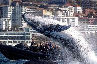 Занимательная биология