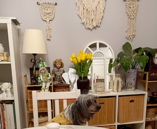 Ремонт и декор в доме