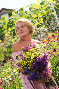 Растения - СУХОЦВЕТЫ