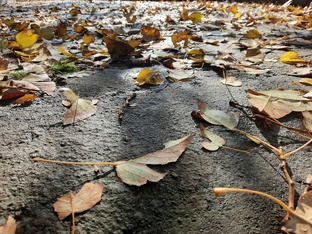 Стресс, психосоматика, панические атаки, тревоги.