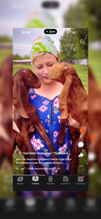 Наша дружная семья