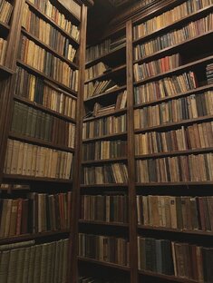 Цитаты на каждый день