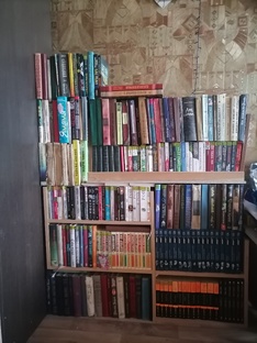 Книжная полка