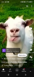 Это когда работал Ютюб😿😿😿😿☹️😿 