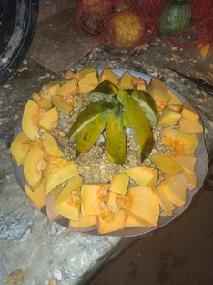 Разведение и содержание нутрий (статьи)